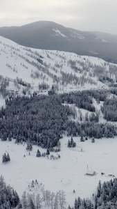 航拍新疆冬季喀纳斯河谷雪景视频