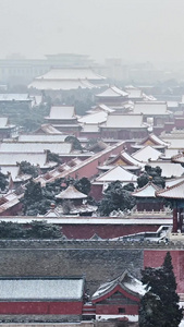 北京故宫博物院雪景视频
