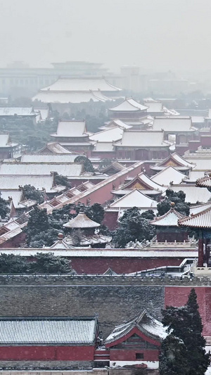 北京故宫博物院雪景126秒视频