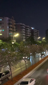 广东市区街道车流夜景视频