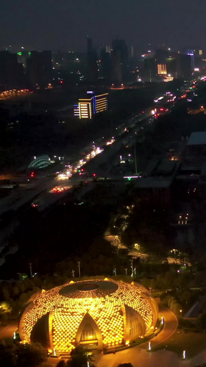 航拍武汉未来科技城马蹄莲夜景17秒视频
