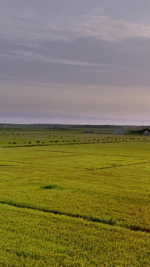 夕阳下的农田全景航拍14秒视频