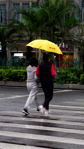 下雨天撑伞过马路的行人合集视频