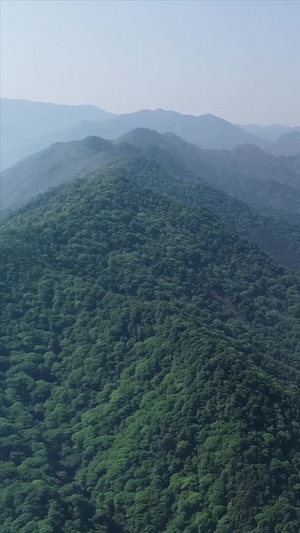 长江沿岸航拍207秒视频