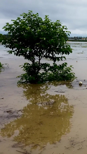 暴雨洪涝灾害62秒视频