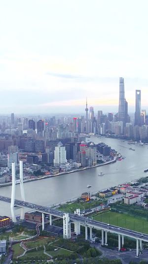 上海南浦大桥航拍日景30秒视频