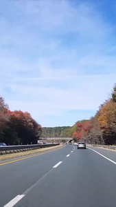 美国高速公路第一视角视频