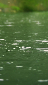 下雨雨滴升格特写视频