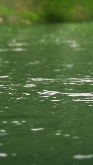 下雨雨滴升格特写54秒视频