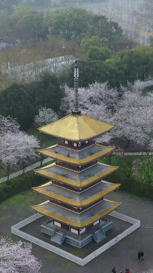 航拍武汉樱花园五重塔和满园春色32秒视频