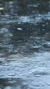 下雨雨水落地视频