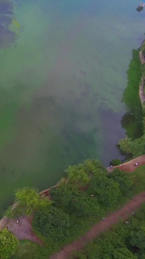 城市湖泊雨林中航行的快艇航拍24秒视频