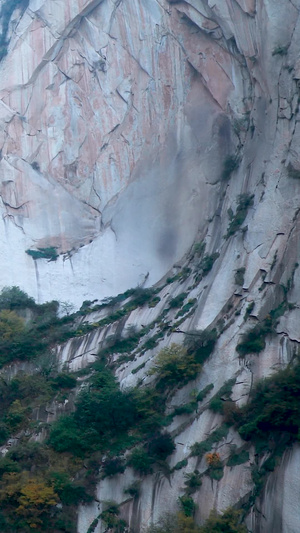 景区观光登山索道53秒视频