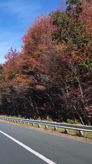 美国高速公路第一视角63秒视频