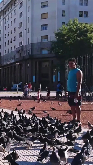 外国街头孩子嬉戏广场鸽慢镜头8秒视频