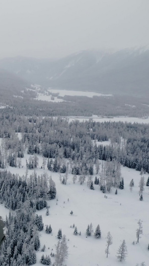 航拍新疆冬季喀纳斯河谷雪景37秒视频