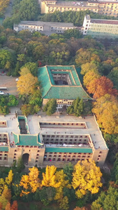 武汉大学樱花城堡航拍高清视频视频