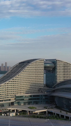 航拍武汉地标国际博览中心和杨泗港长江大桥48秒视频