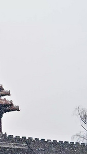 北京角楼城墙雪景视频