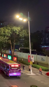 广东市区街道车流夜景视频