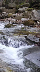 春天山泉水视频