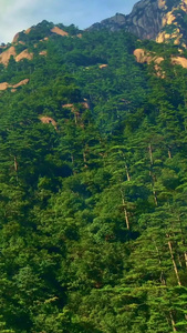 黄山索道缆车视频