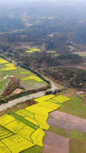 航拍乡村油菜花视频