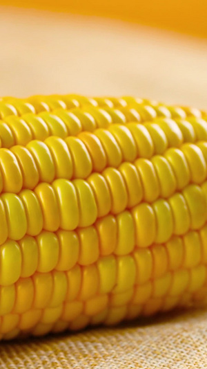 玉米31秒视频