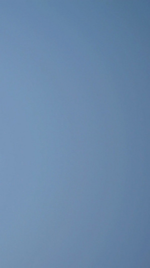 飞机在蓝天中翱翔11秒视频
