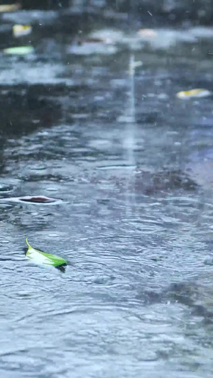 下雨雨水落地15秒视频