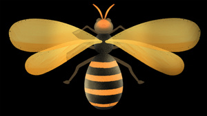 小蜜蜂动画元素带透明度通道20秒视频