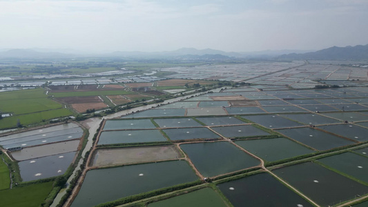 稻田灌溉视频