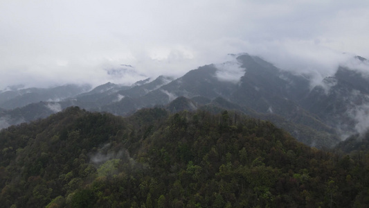 山顶一群人登山顶云海风光视频