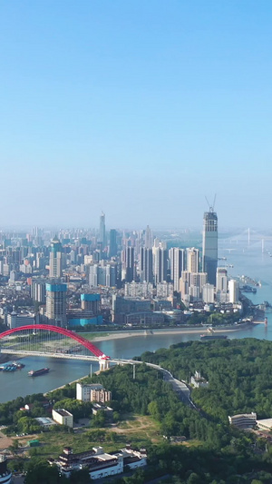 航拍风光城市旅游武汉地标风景江景鹦鹉洲两江交汇蓝色江景素材写字楼44秒视频