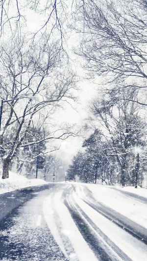 冬季雪景视频素材浪漫雪景10秒视频