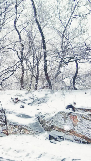 冬季雪景视频素材背景视频10秒视频