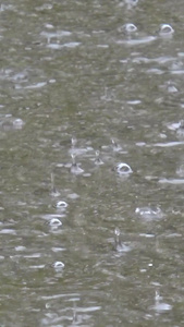 实拍雨水打落在地面上形成的水洼实拍下雨天视频