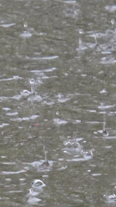 实拍雨水打落在地面上形成的水洼实拍下雨天视频