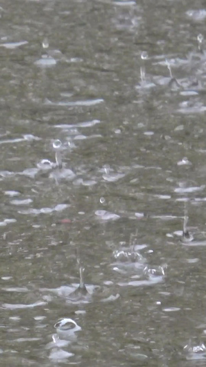 实拍雨水打落在地面上形成的水洼实拍下雨天25秒视频