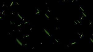 粒子竹叶飘落动画元素带透明度20秒视频