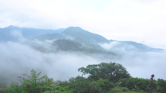 南岳衡山景区自然风光云雾缭绕4k视频[雨母山]视频