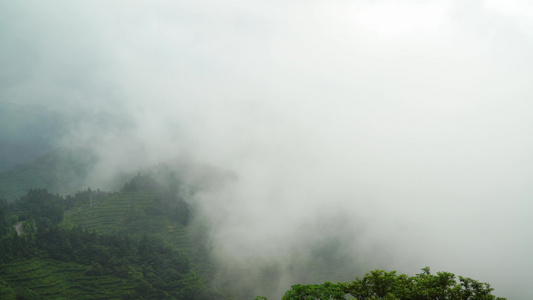 南岳衡山景区自然风光云雾缭绕4k视频[雨母山]视频