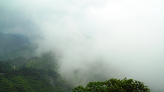 南岳衡山景区自然风光云雾缭绕4k视频[雨母山]视频