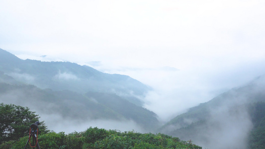 南岳衡山景区自然风光云雾缭绕4k视频[雨母山]视频