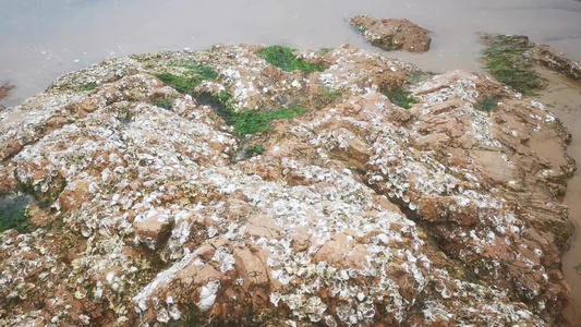 大海海浪沙滩风景海洋航拍视频