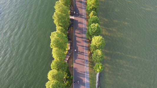 航拍湖北5A级旅游景区东湖绿道上跑步运动健身街景4k素材视频