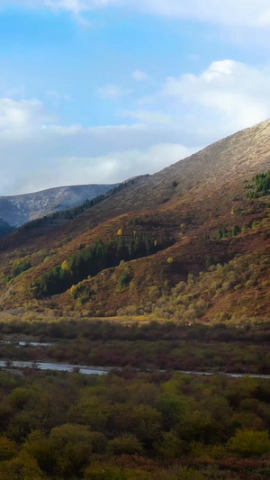 秋季若尔盖草原公路航拍视频自然风光79秒视频