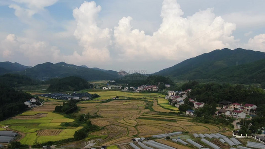 农业种植美丽乡村稻田农田航拍视频