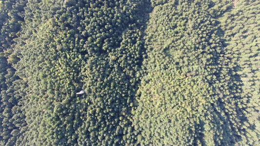 山川森林绿色植物风景航拍视频