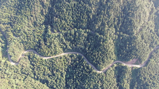 山川森林绿色植物风景航拍视频